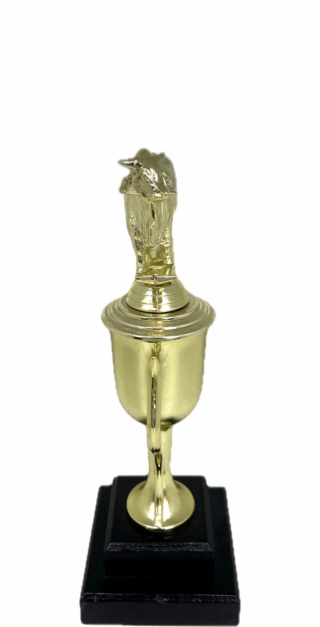 Brahma Bull Trophy 240mm