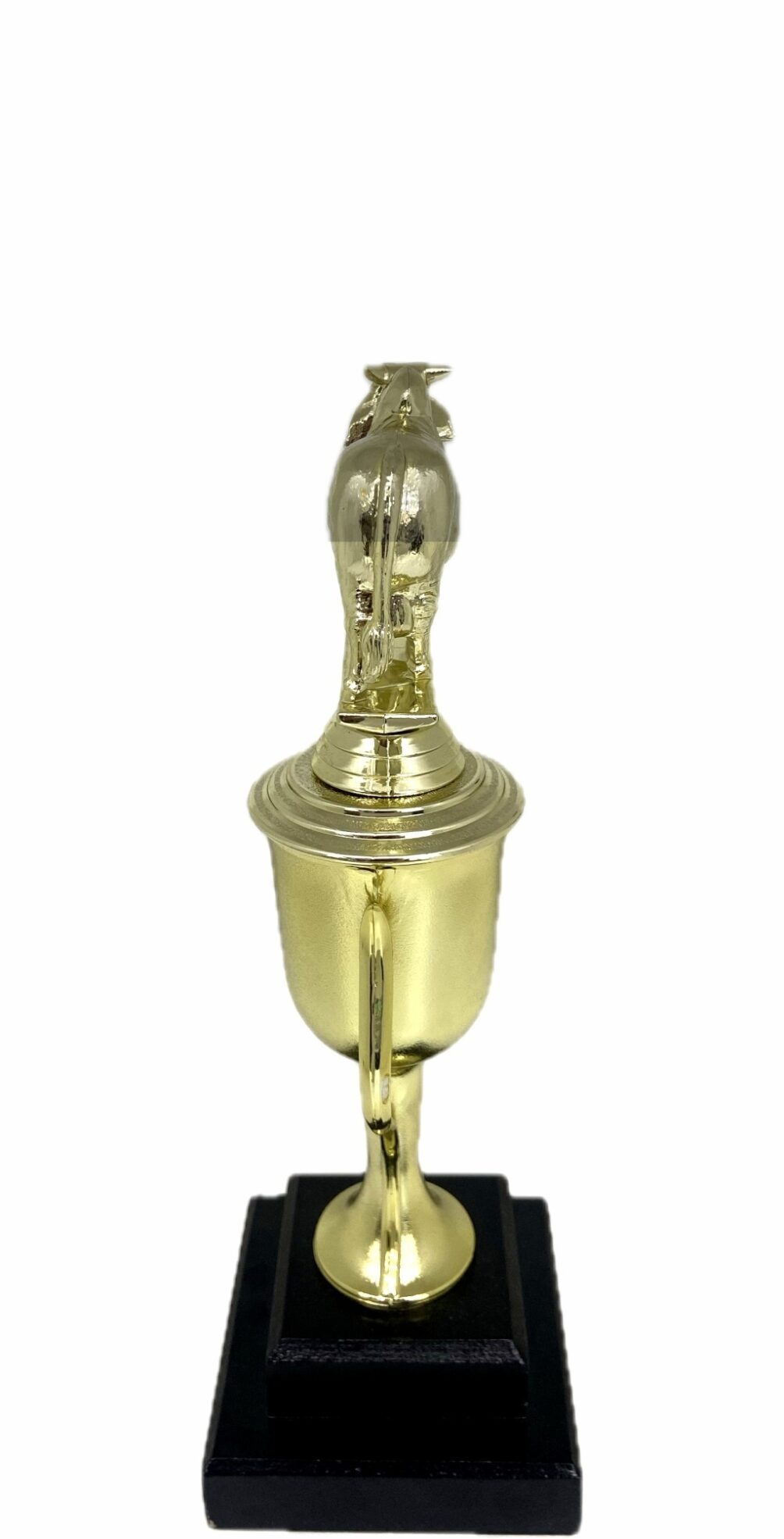 Brahma Bull Trophy 240mm