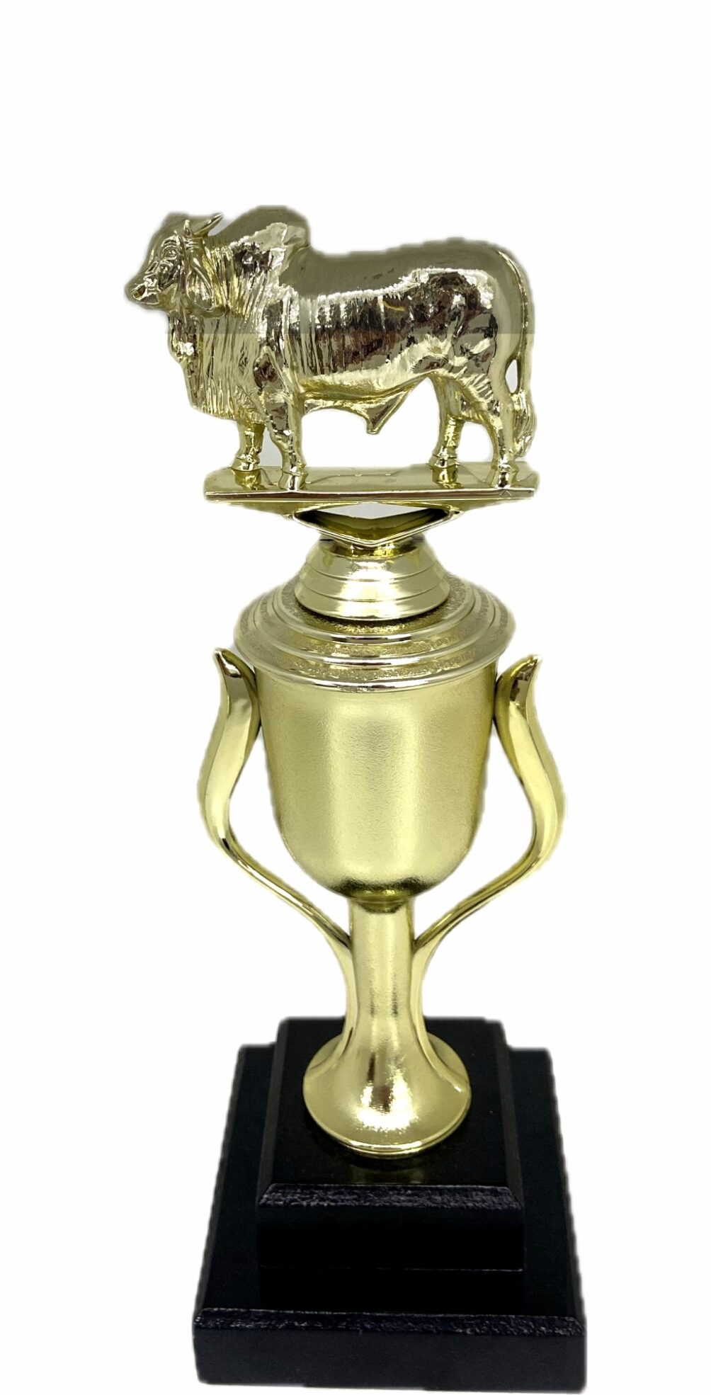 Brahma Bull Trophy 275mm
