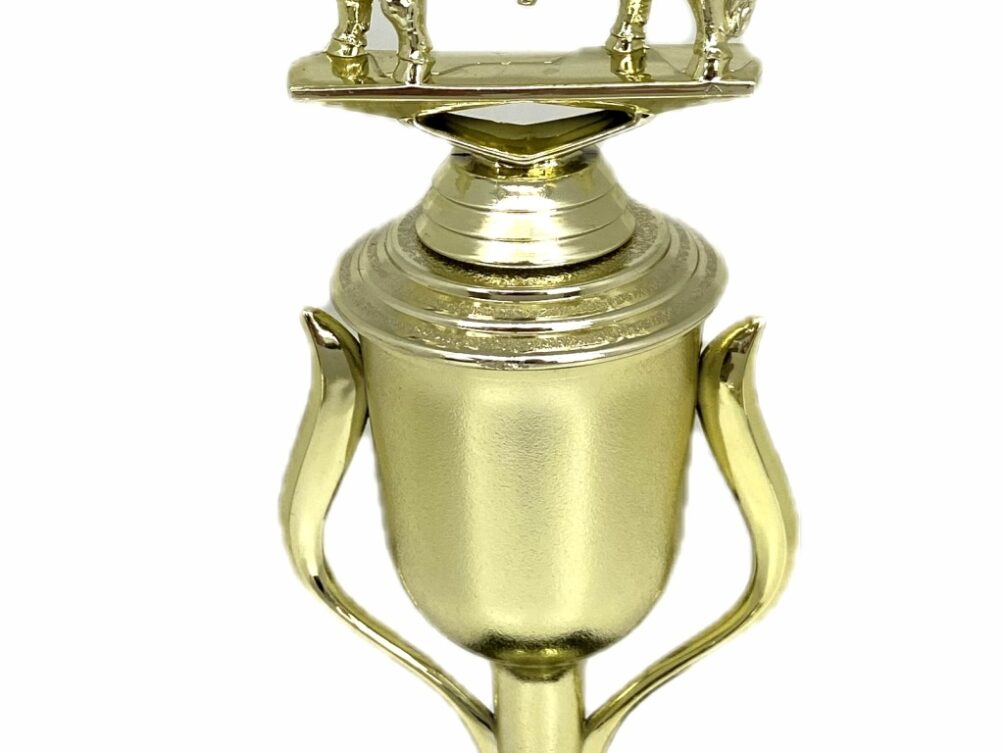 Brahma Bull Trophy 275mm
