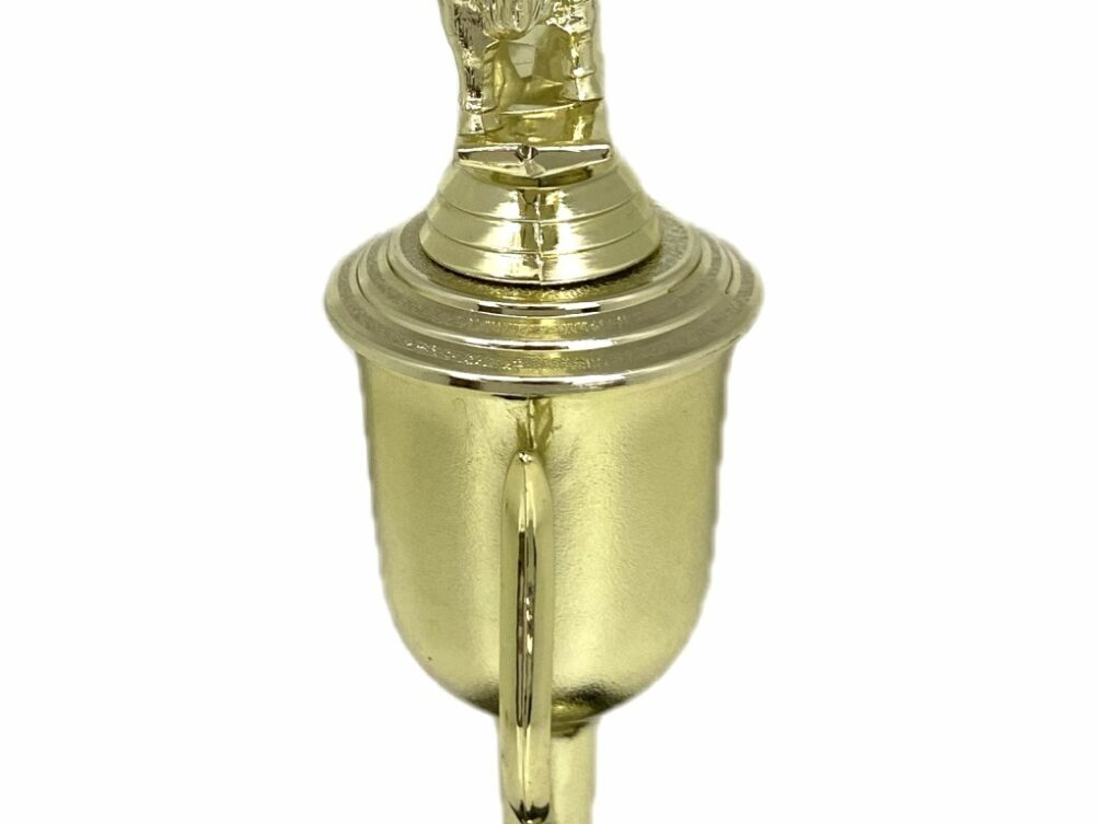 Brahma Bull Trophy 275mm