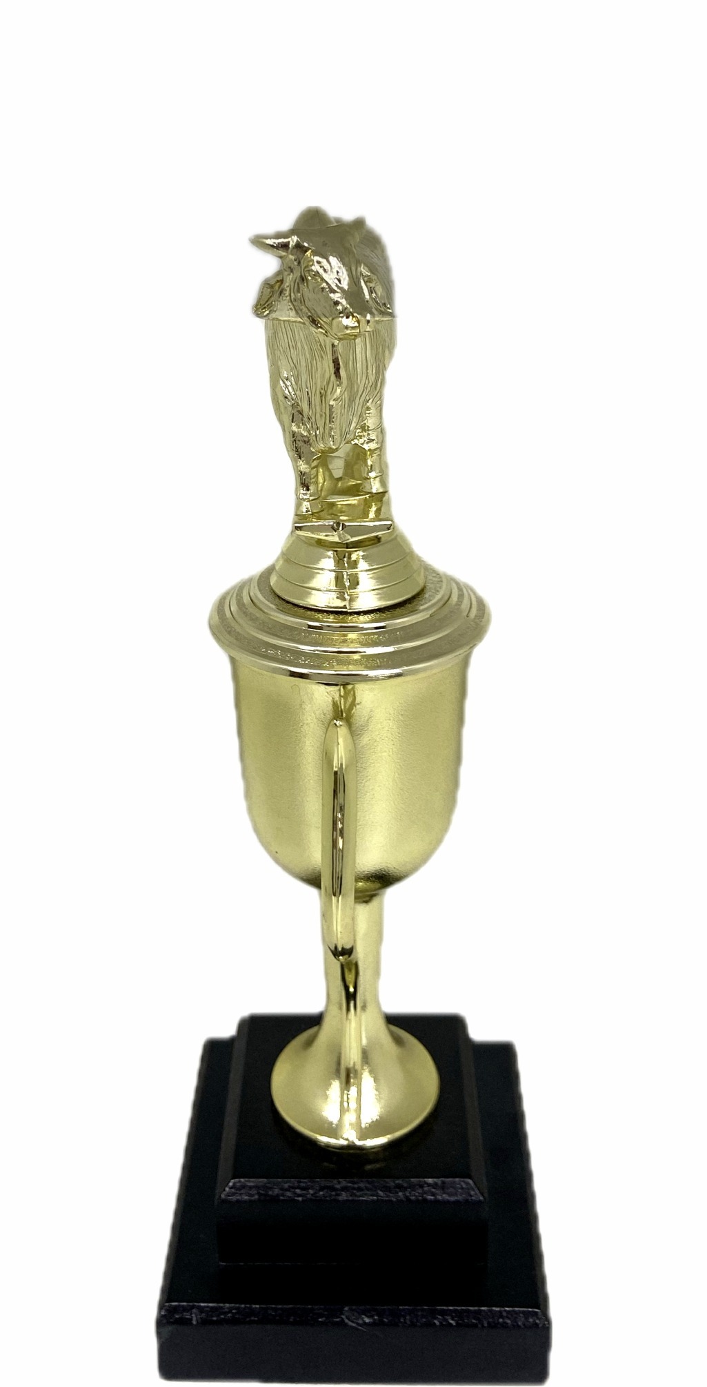 Brahma Bull Trophy 275mm