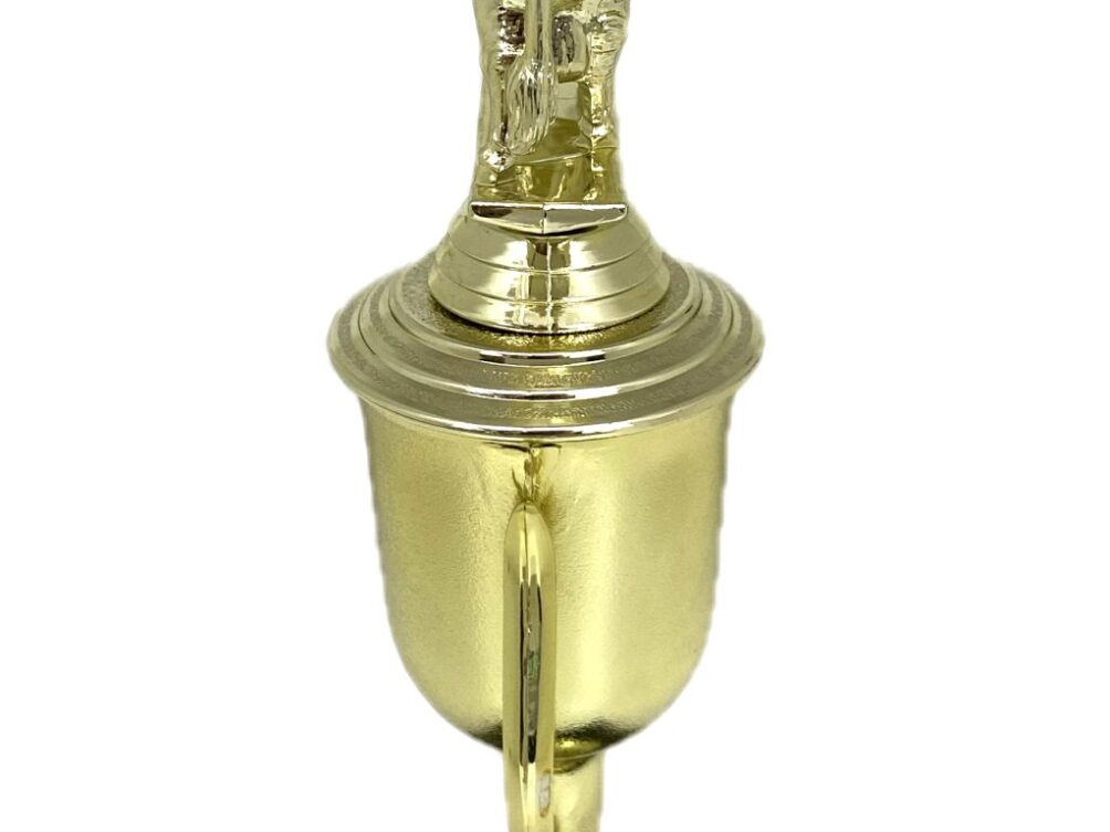 Brahma Bull Trophy 275mm