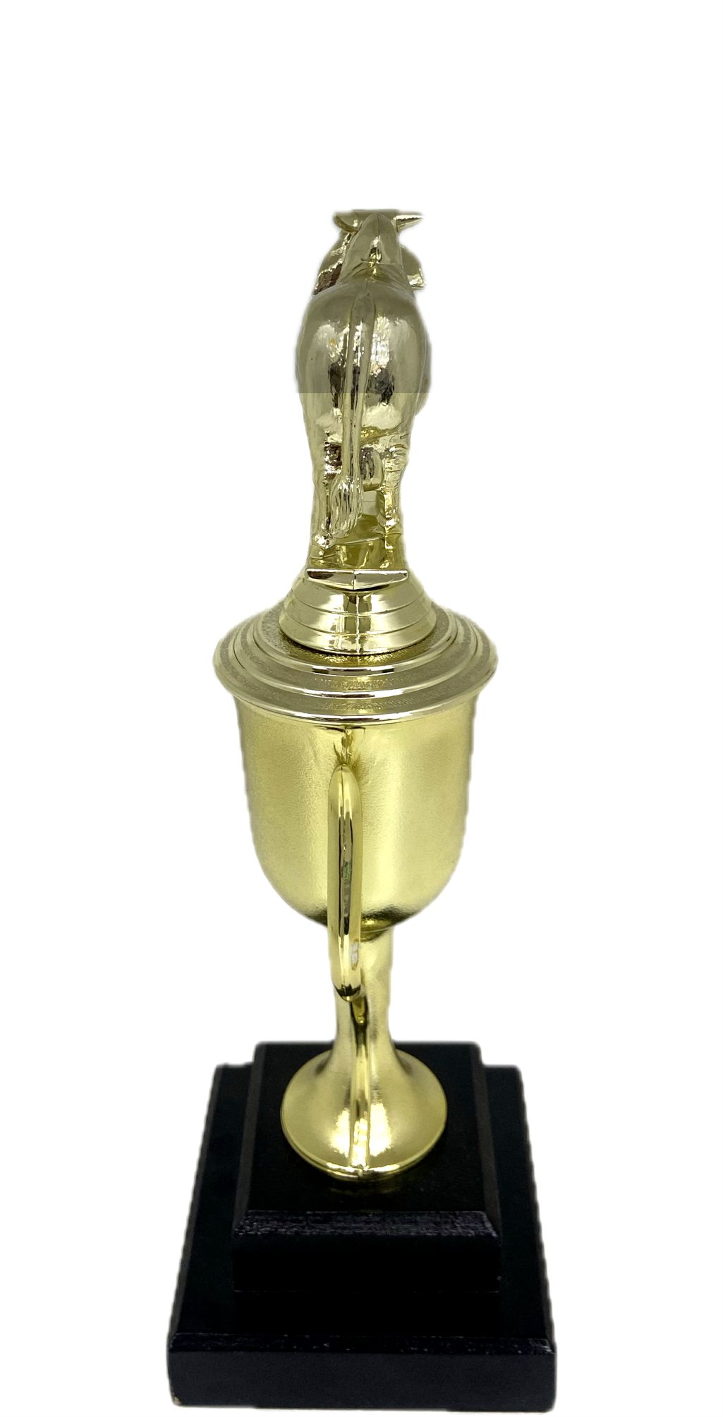 Brahma Bull Trophy 275mm