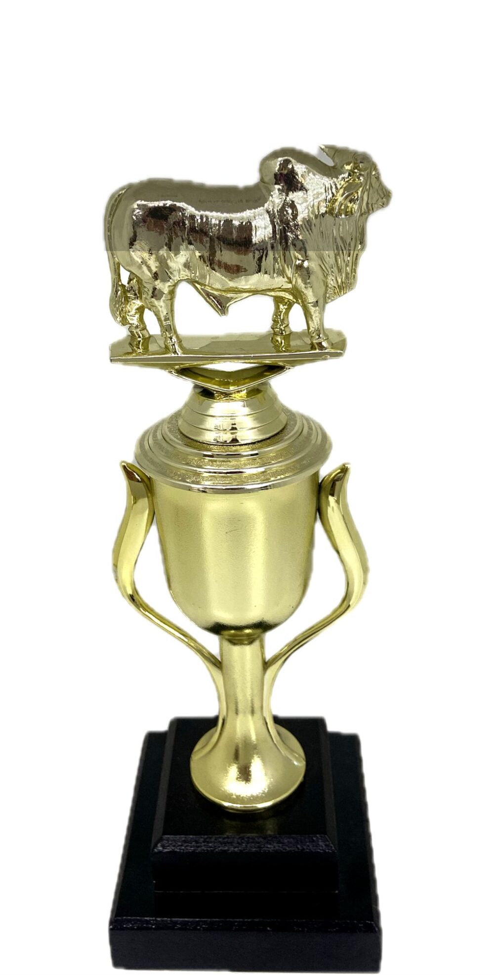 Brahma Bull Trophy 275mm