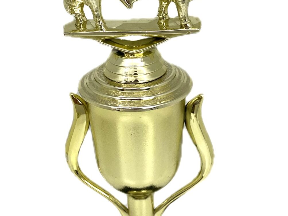Brahma Bull Trophy 275mm