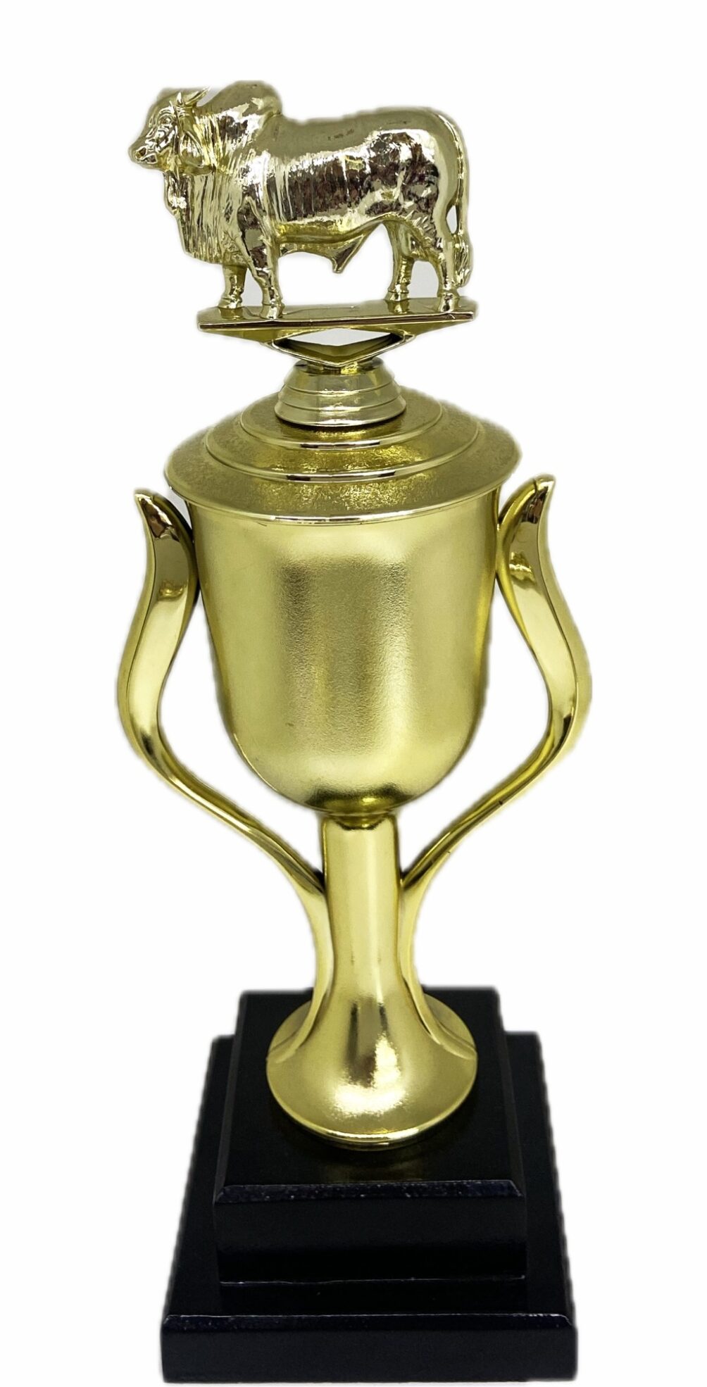 Brahma Bull Trophy 315mm
