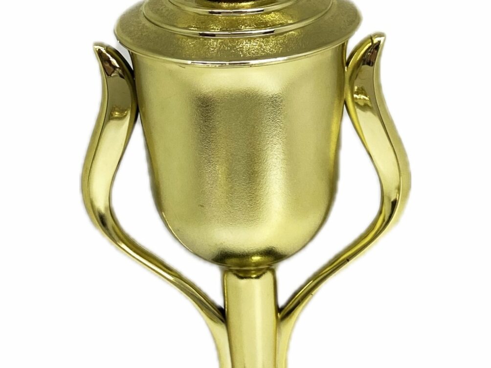 Brahma Bull Trophy 315mm