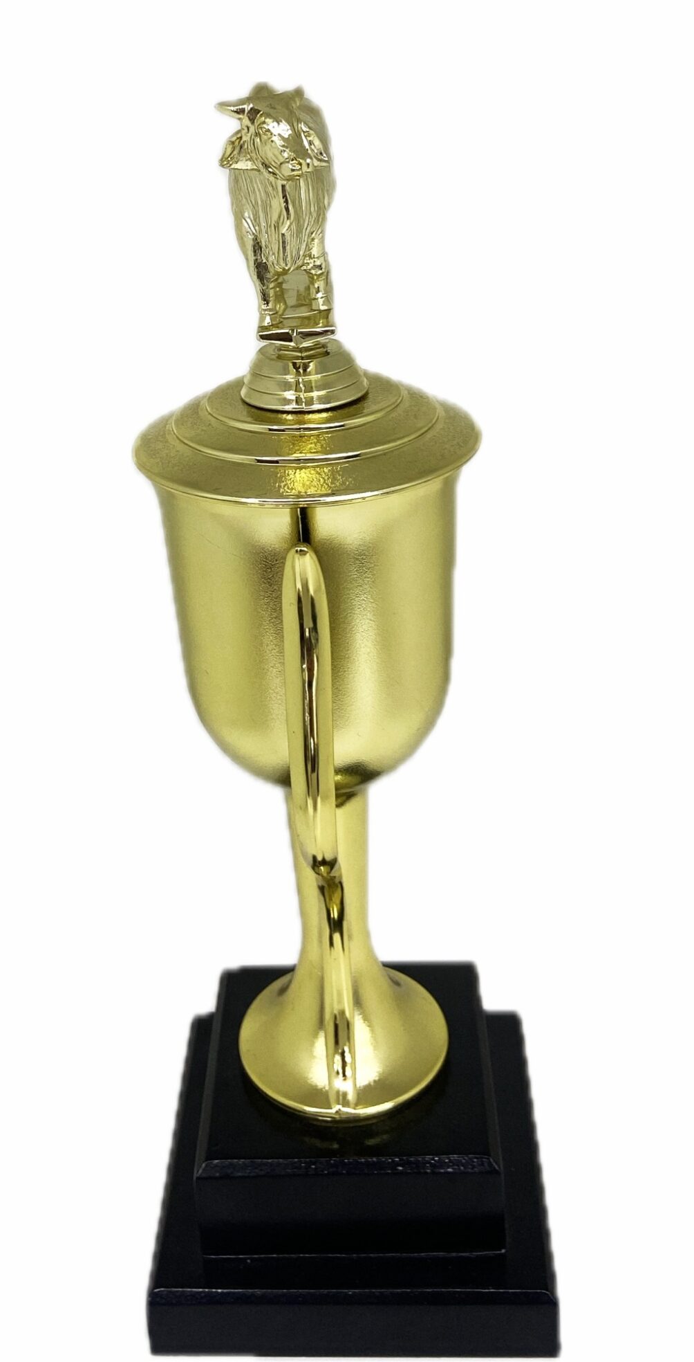 Brahma Bull Trophy 315mm