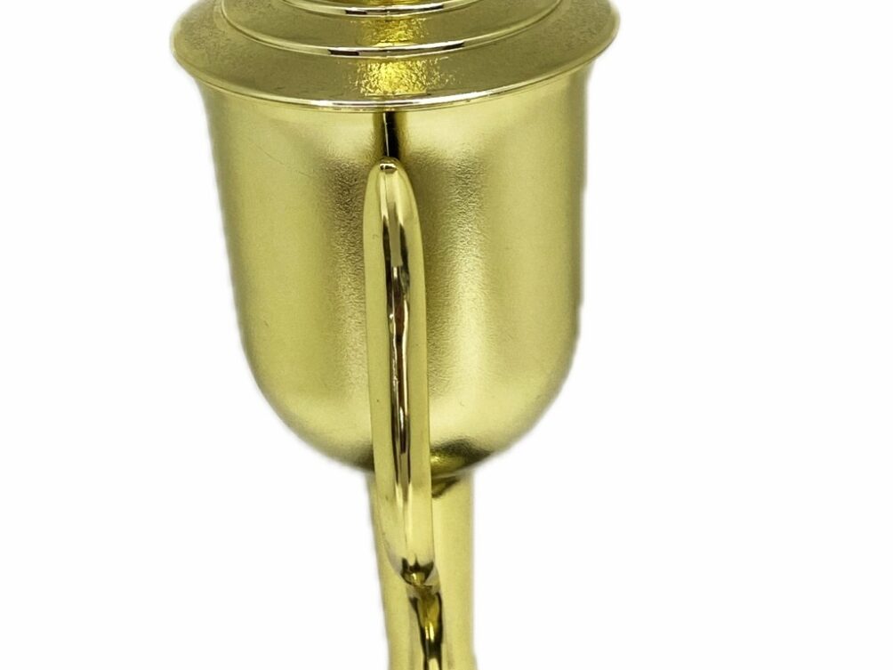 Brahma Bull Trophy 315mm