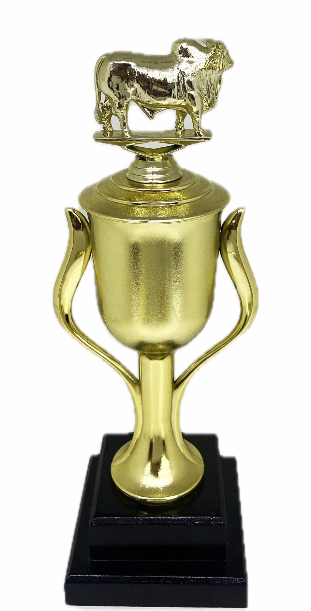 Brahma Bull Trophy 315mm