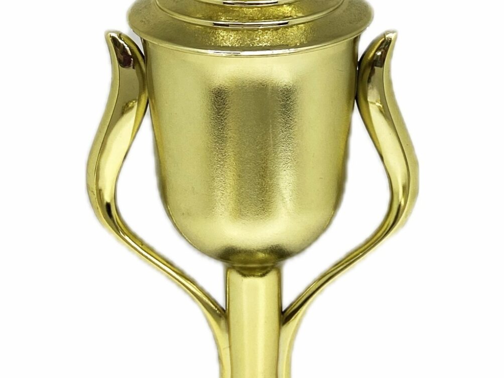 Brahma Bull Trophy 315mm