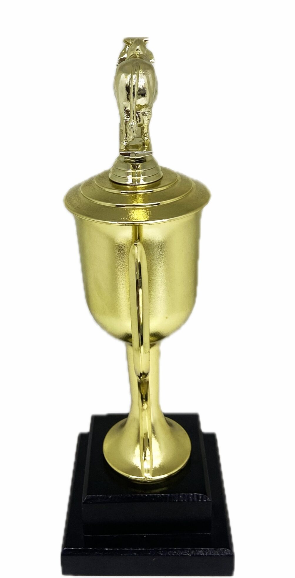 Brahma Bull Trophy 315mm