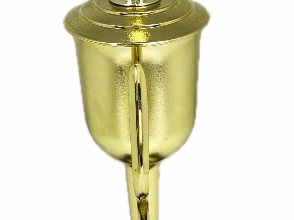 Brahma Bull Trophy 315mm