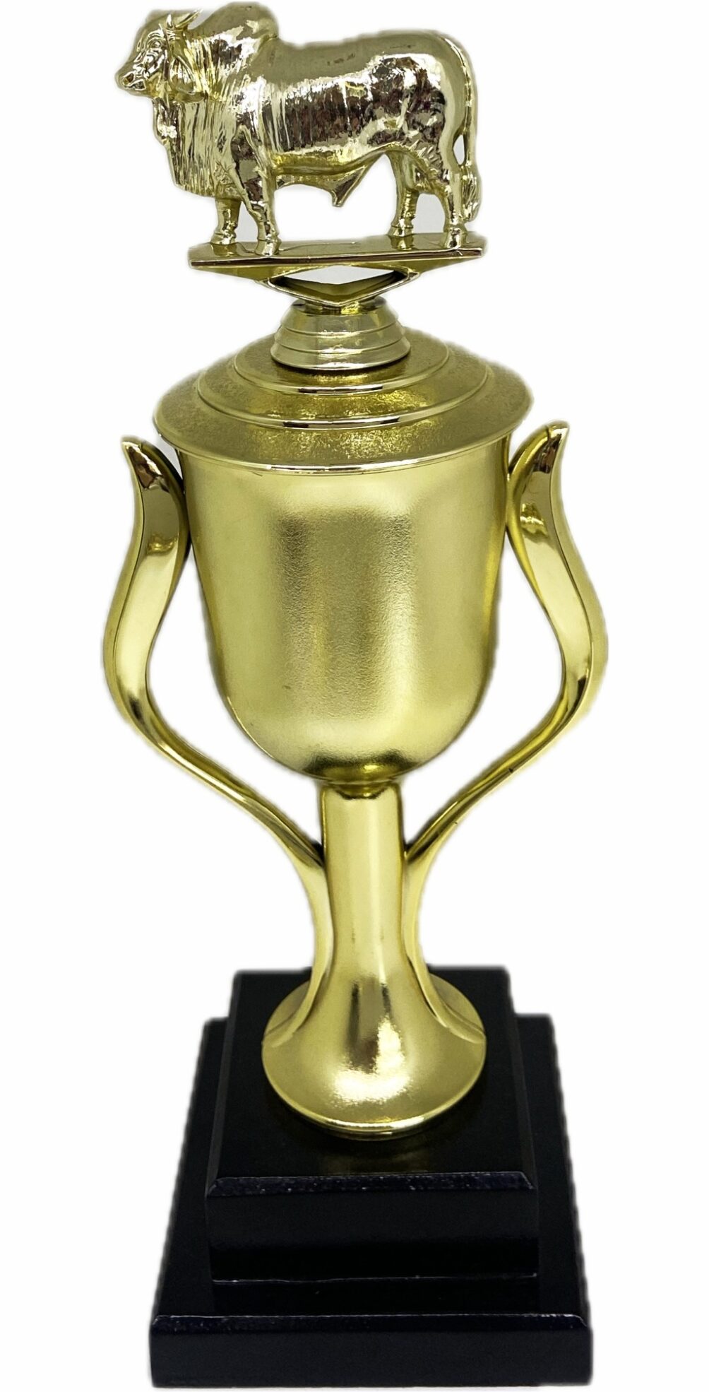 Brahma Bull Trophy 355mm