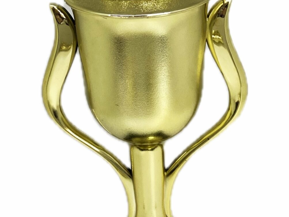 Brahma Bull Trophy 355mm