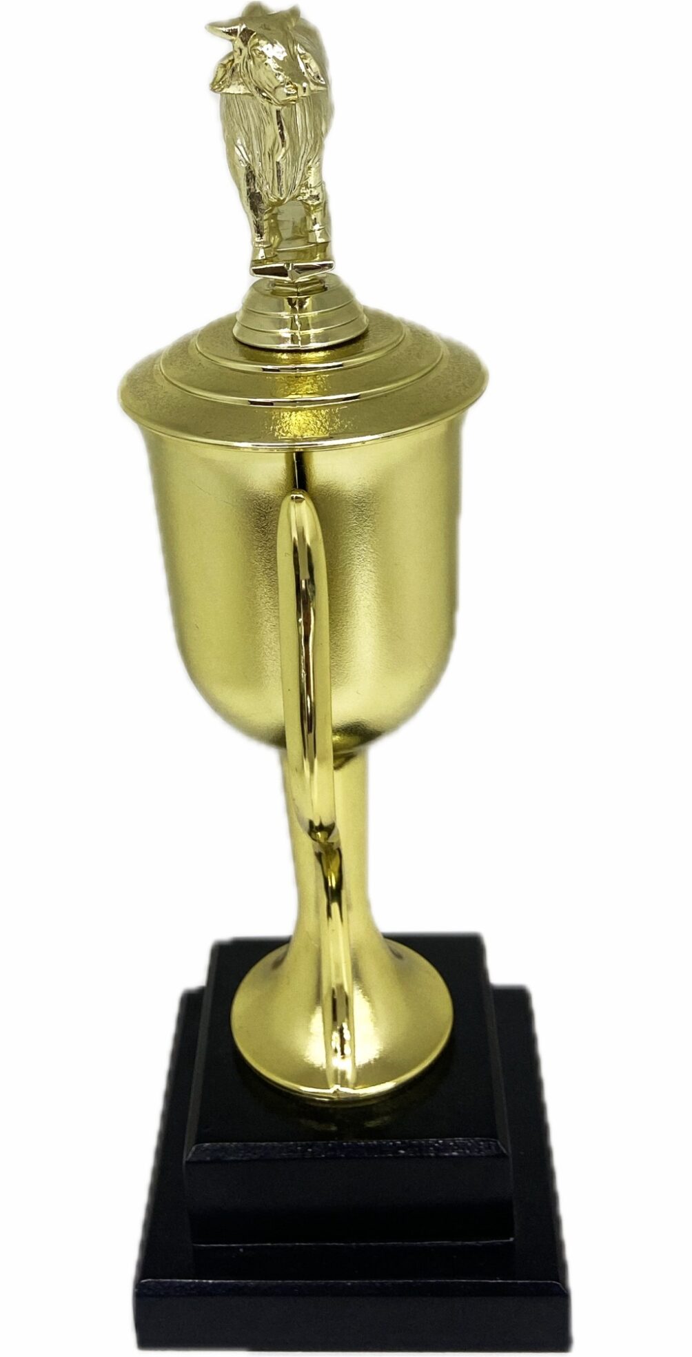 Brahma Bull Trophy 355mm