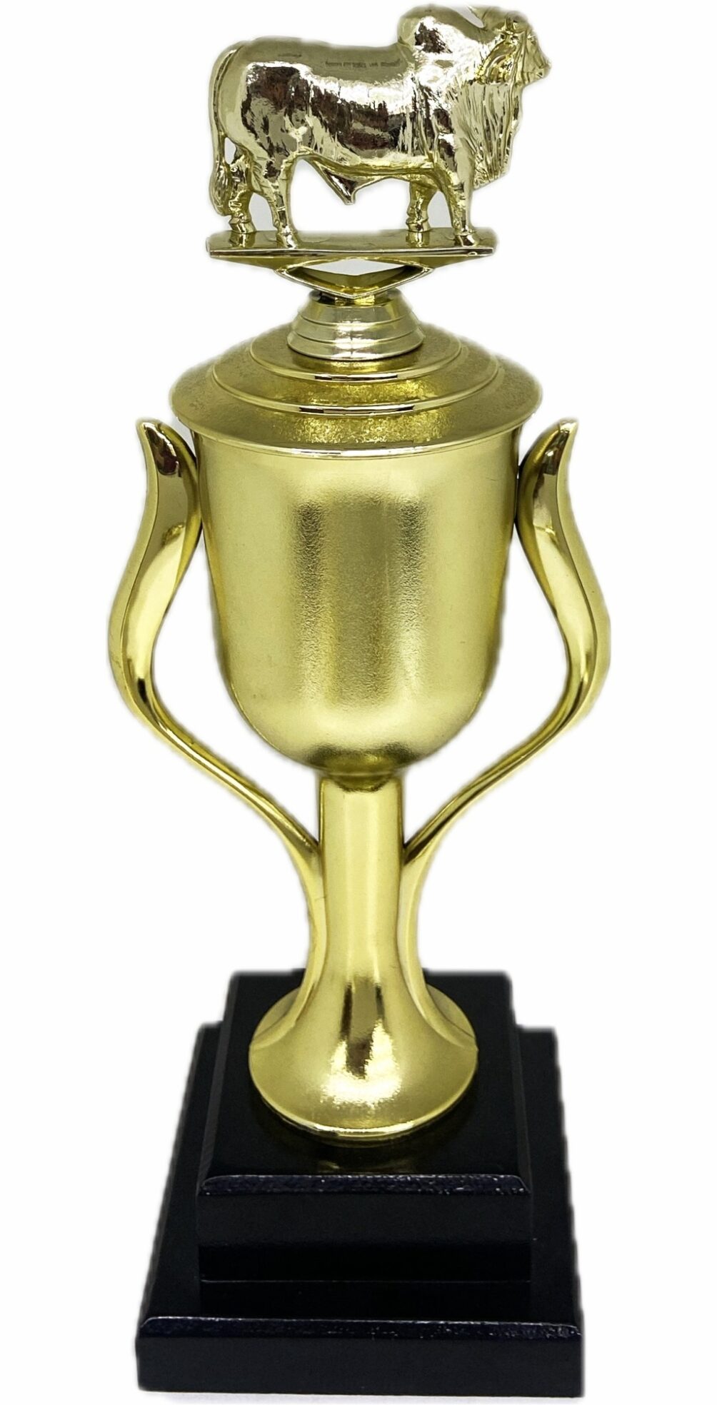 Brahma Bull Trophy 355mm