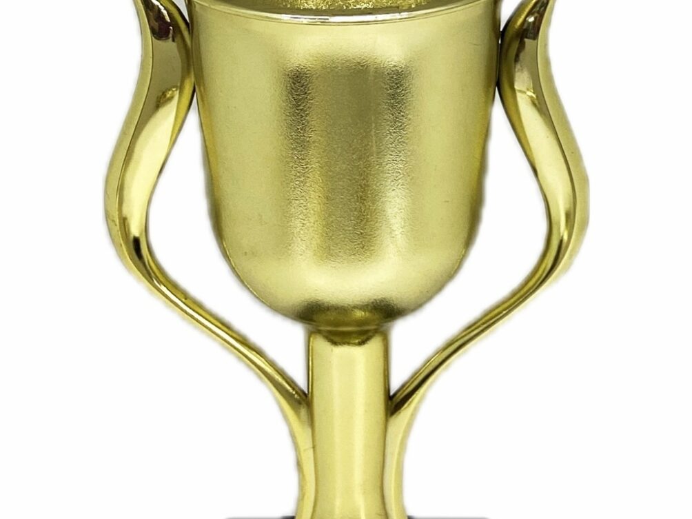 Brahma Bull Trophy 355mm