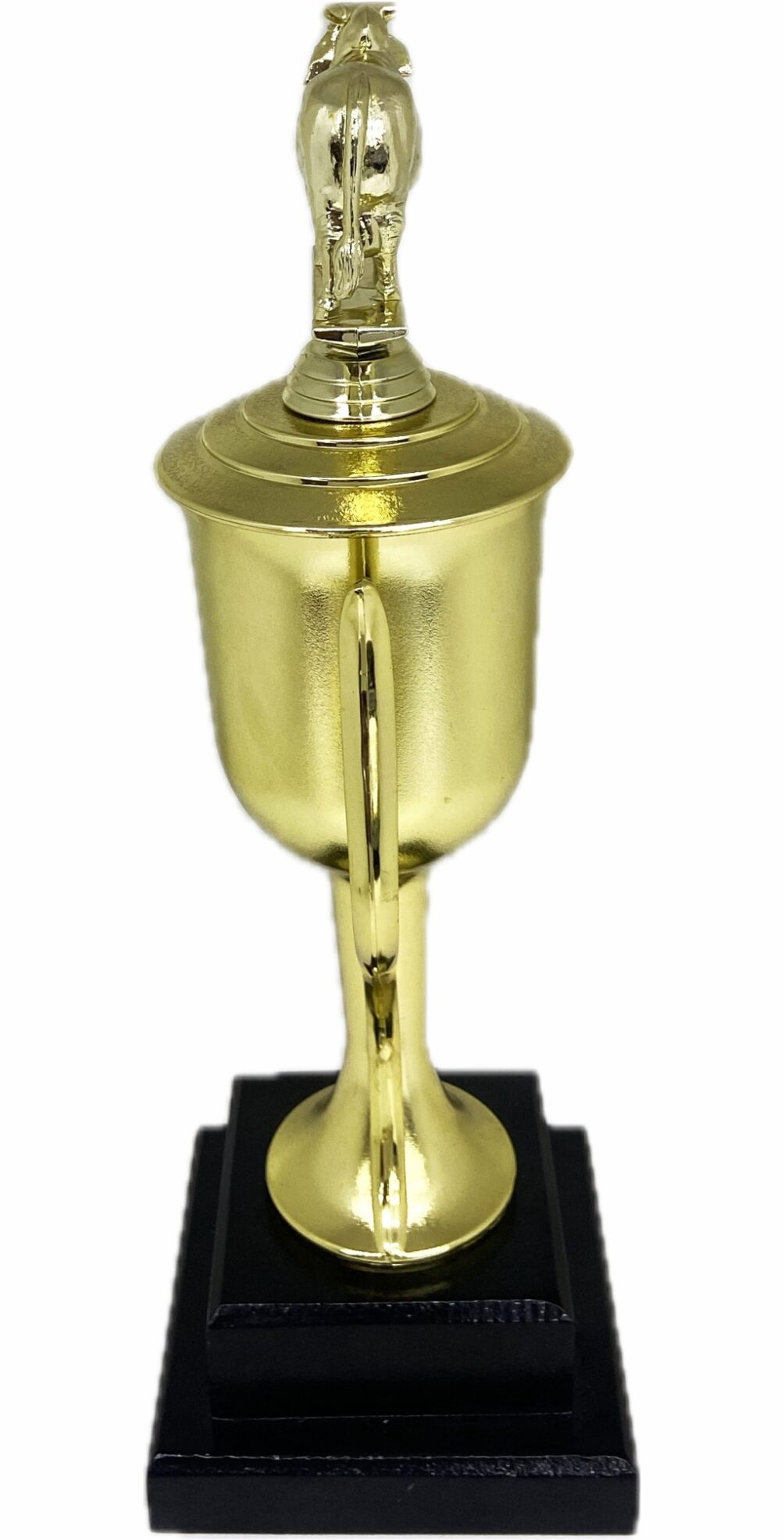 Brahma Bull Trophy 355mm
