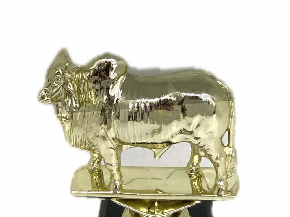 Brahma Bull Trophy 125mm