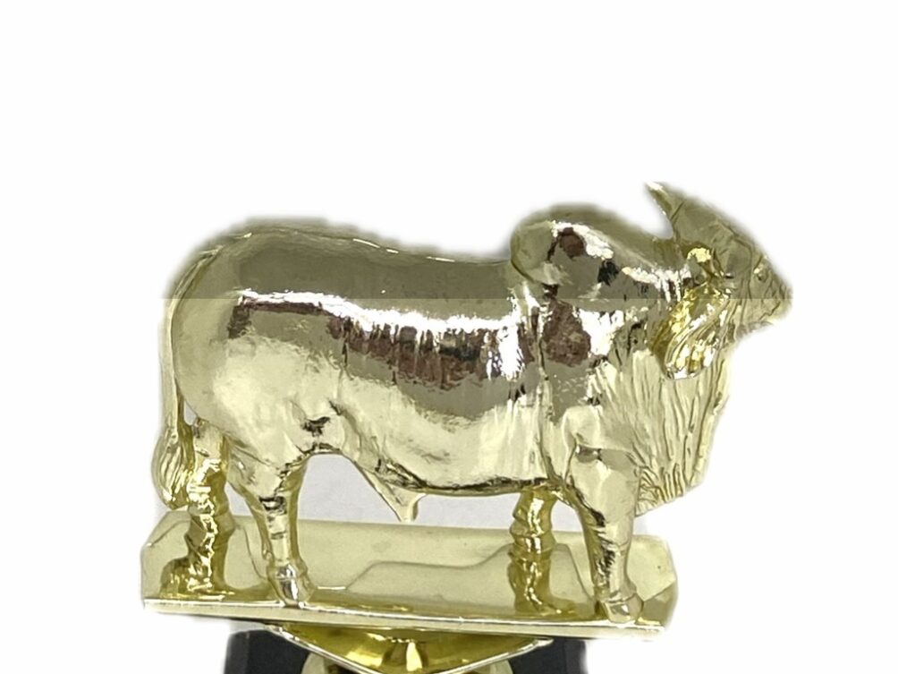 Brahma Bull Trophy 125mm