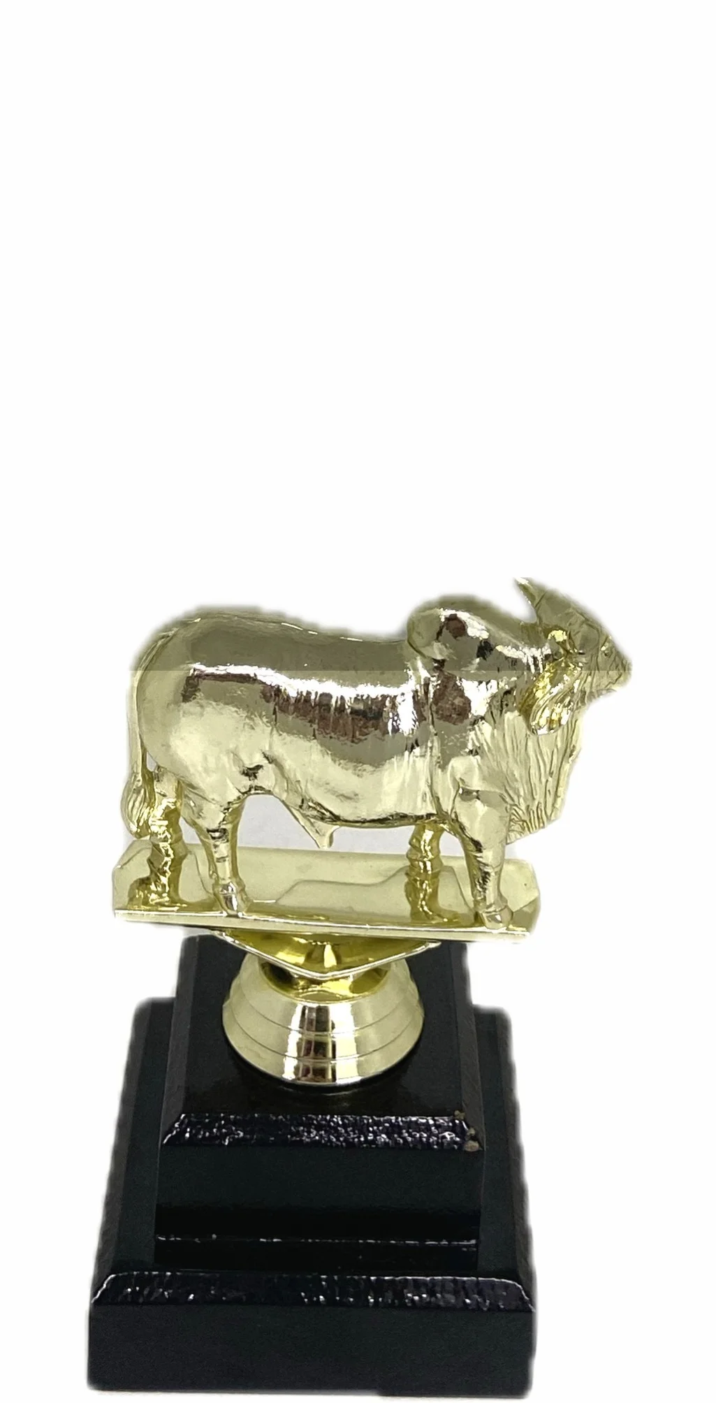 Brahma Bull Trophy 125mm