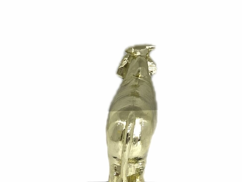 Brahma Bull Trophy 125mm