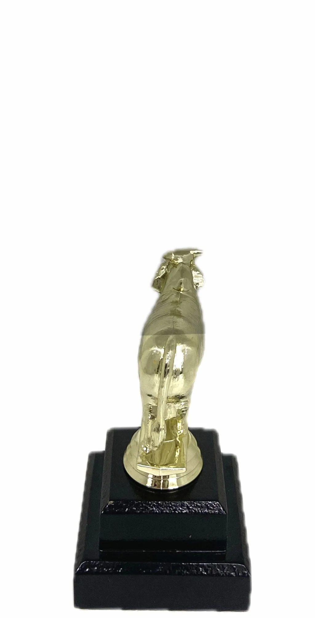 Brahma Bull Trophy 125mm