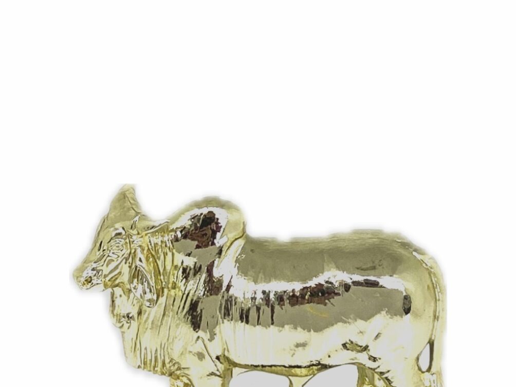 Brahma Bull Trophy 100mm