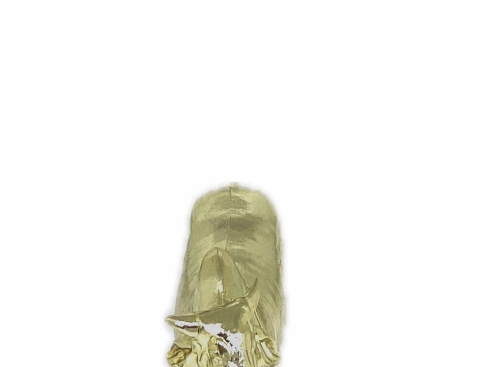 Brahma Bull Trophy 100mm