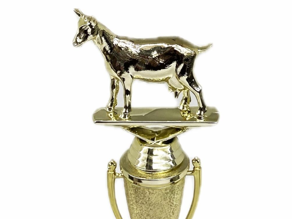 Dairy Goat Trophy 215mm