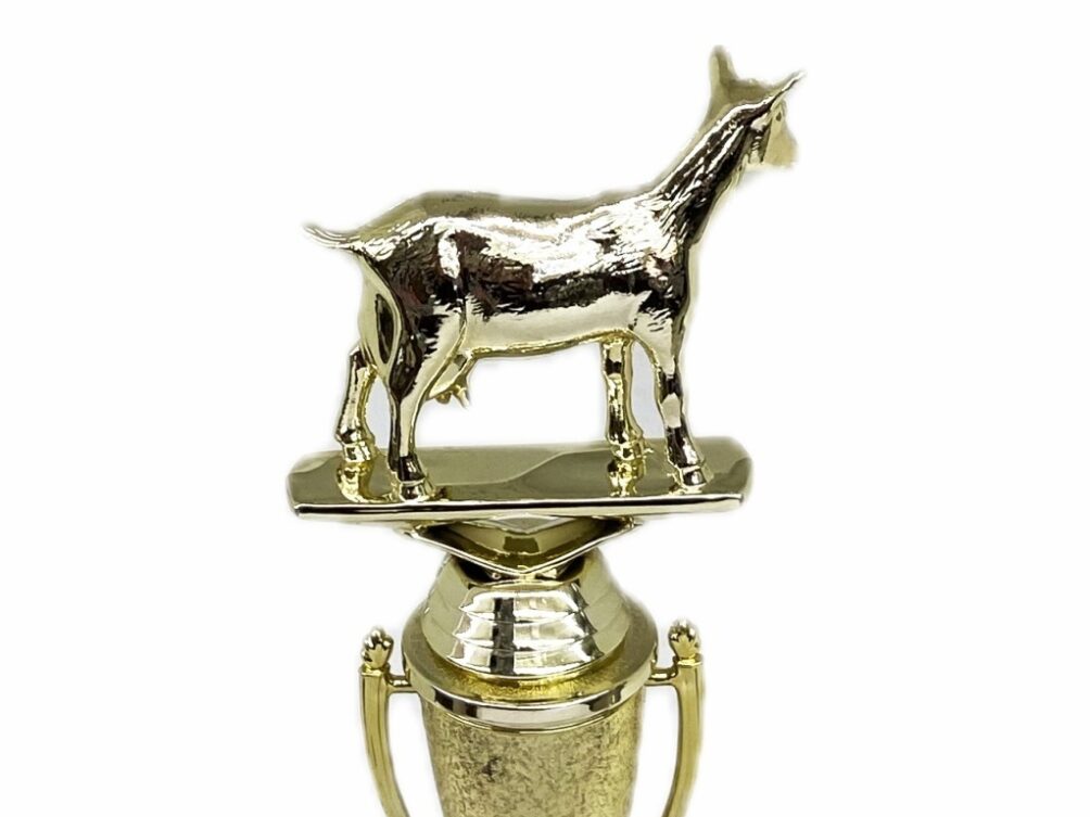 Dairy Goat Trophy 215mm