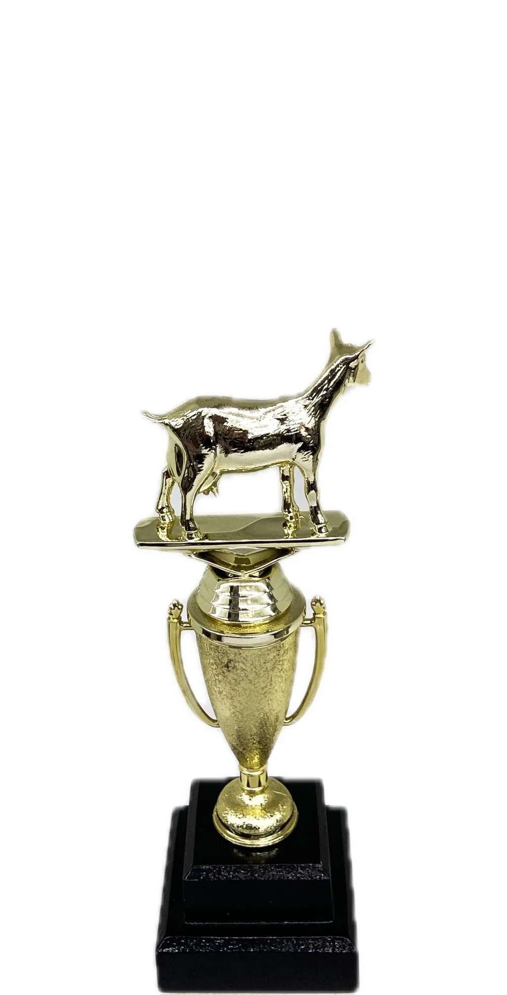 Dairy Goat Trophy 215mm