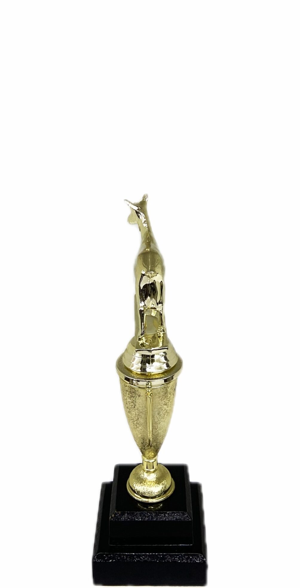 Dairy Goat Trophy 215mm