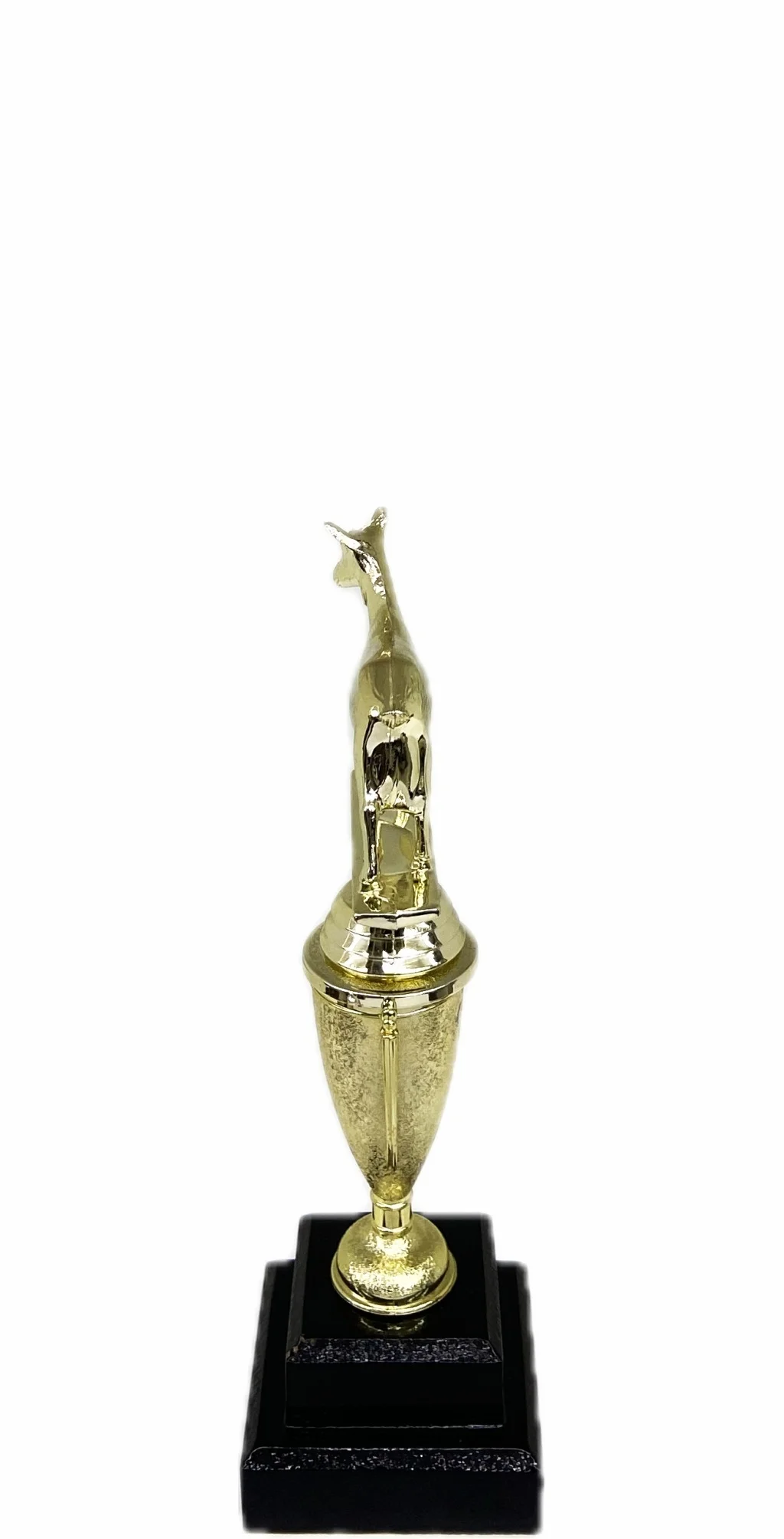 Dairy Goat Trophy 215mm