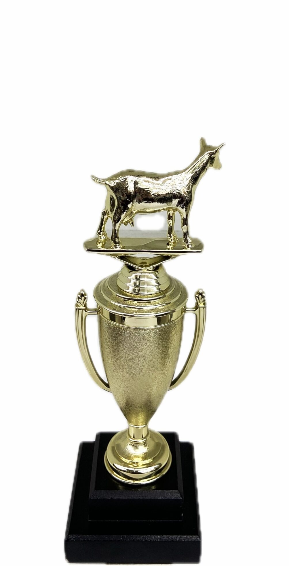 Dairy Goat Trophy 240mm