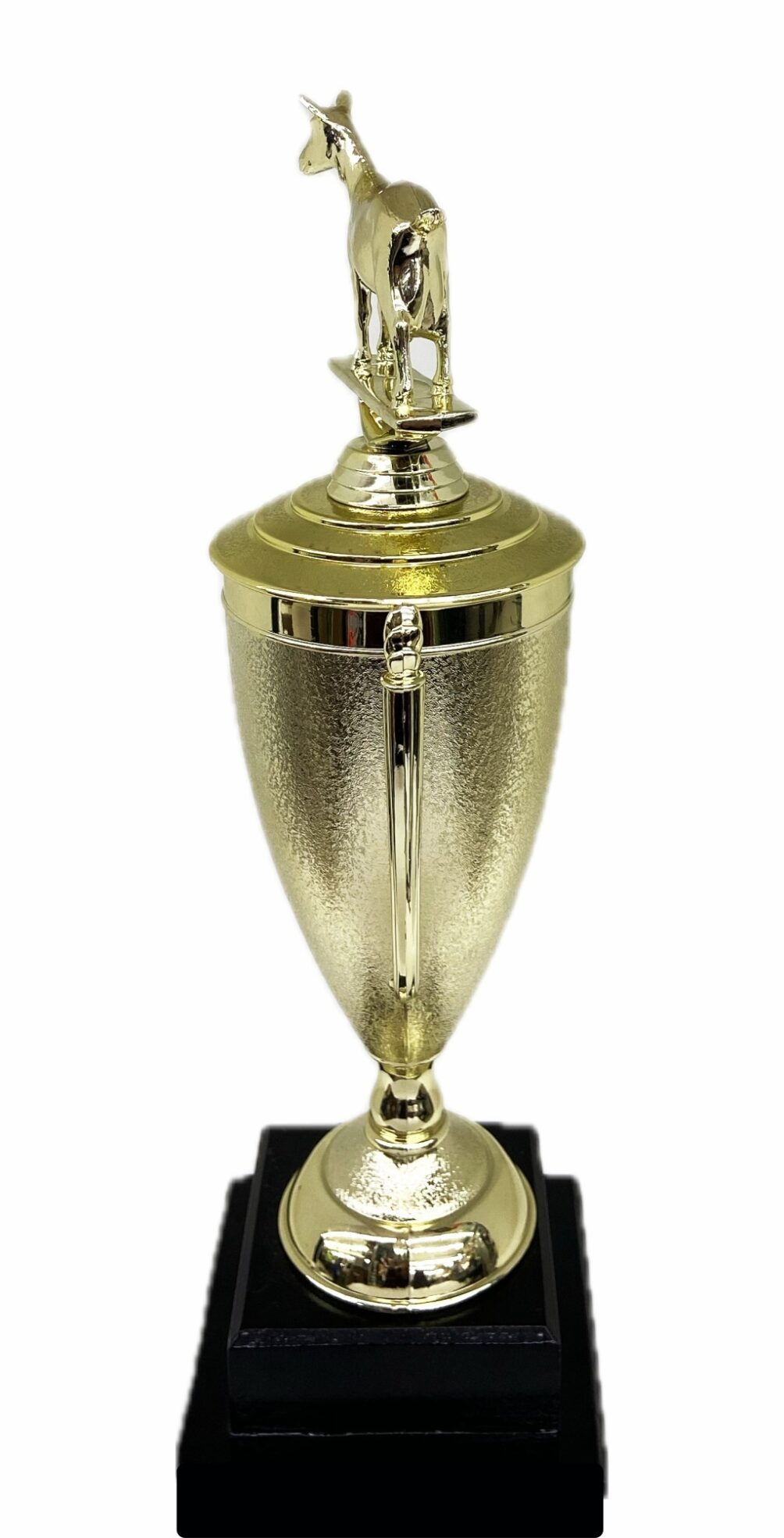 Dairy Goat Trophy 315mm