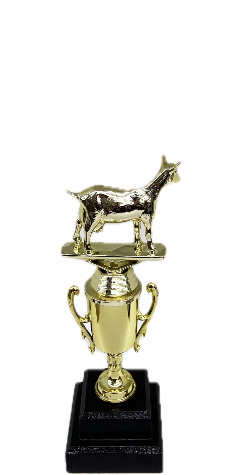 Dairy Goat Trophy 215mm