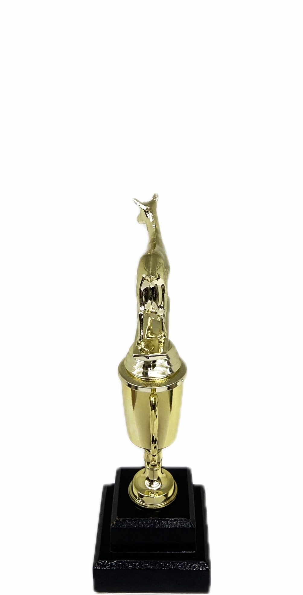 Dairy Goat Trophy 215mm