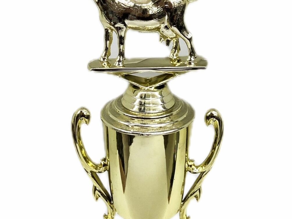 Dairy Goat Trophy 240mm