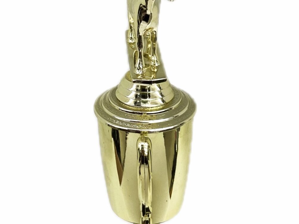 Dairy Goat Trophy 240mm
