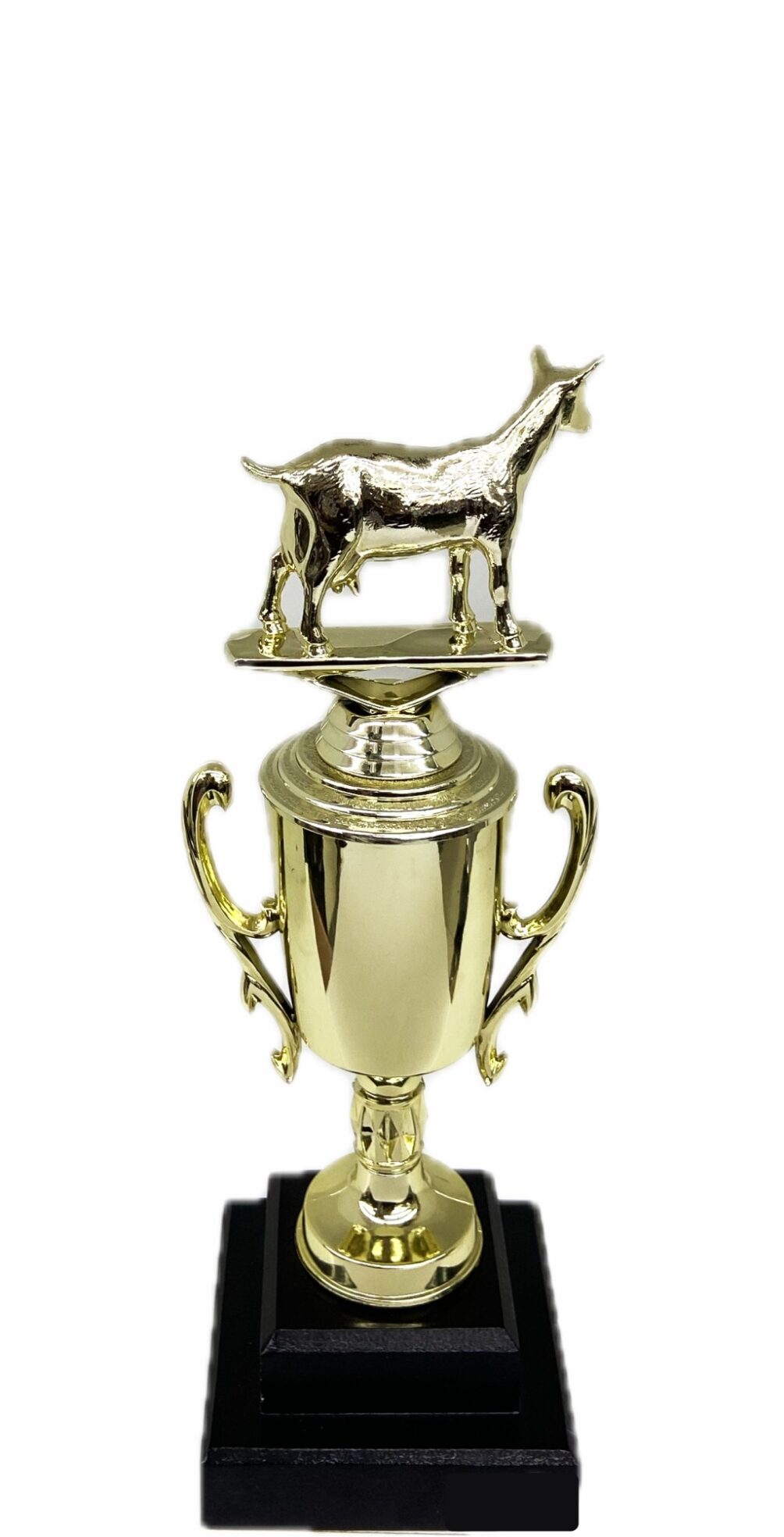 Dairy Goat Trophy 240mm