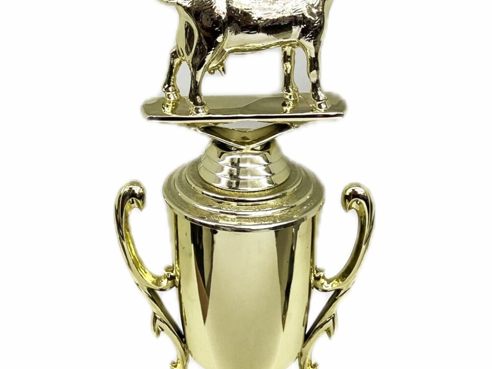 Dairy Goat Trophy 240mm