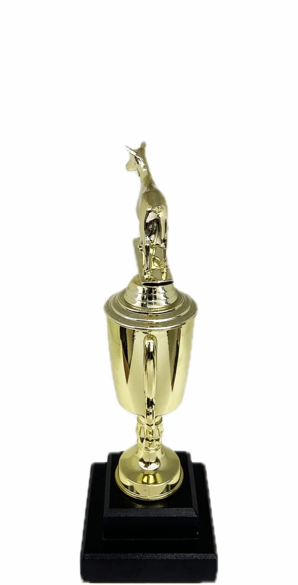 Dairy Goat Trophy 240mm