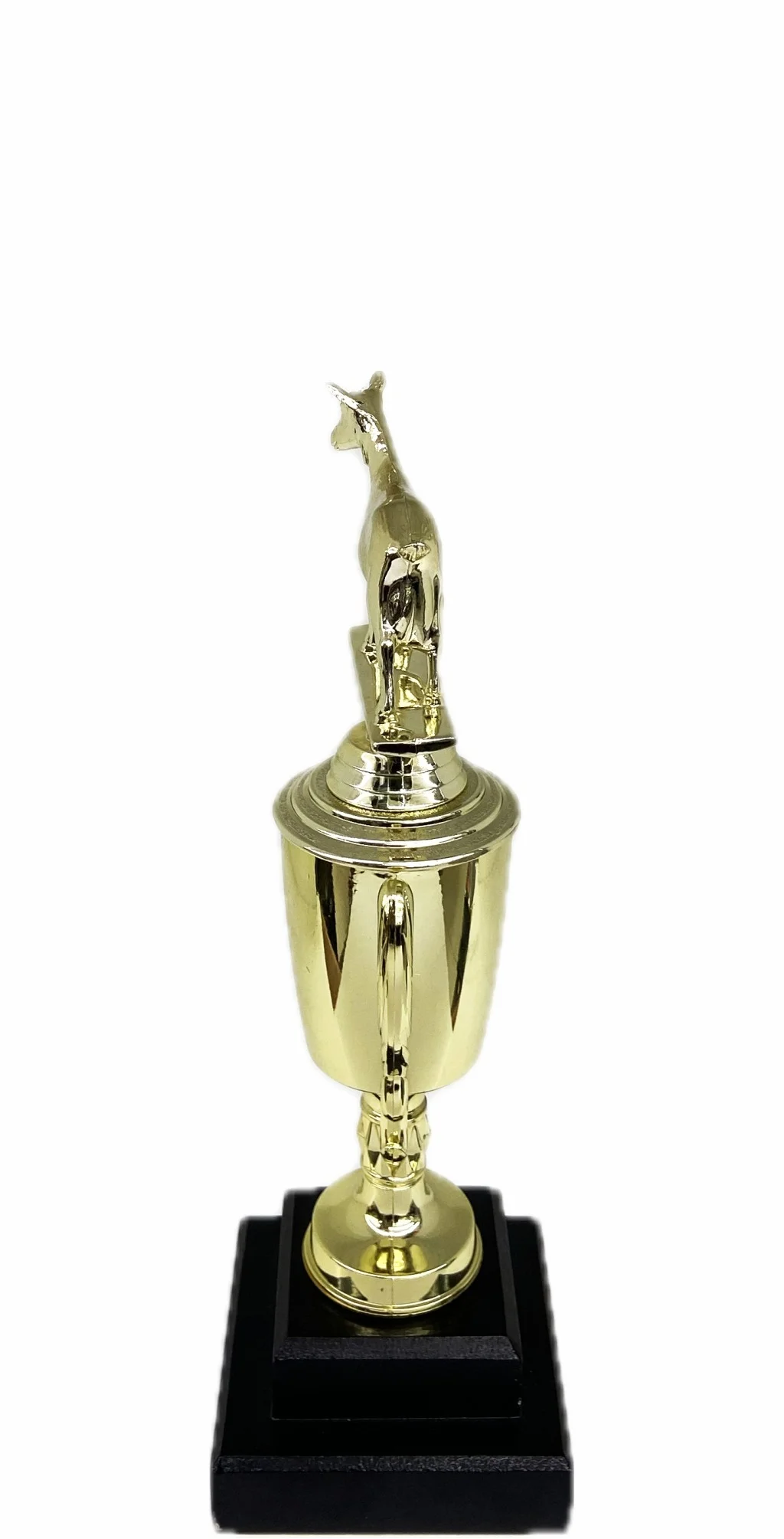 Dairy Goat Trophy 240mm