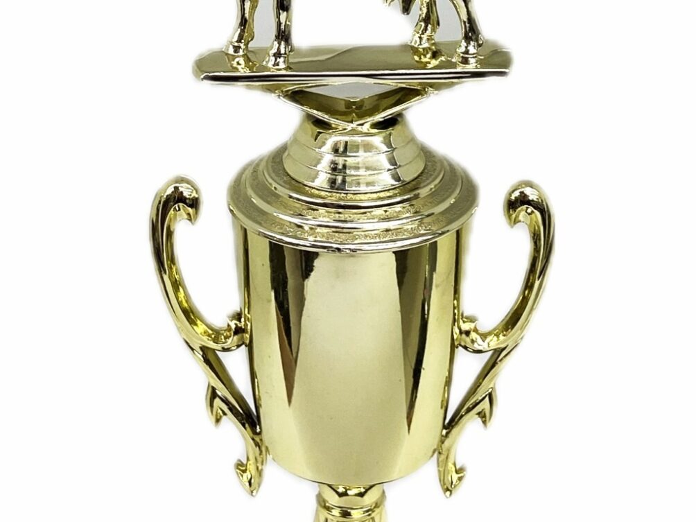Dairy Goat Trophy 275mm