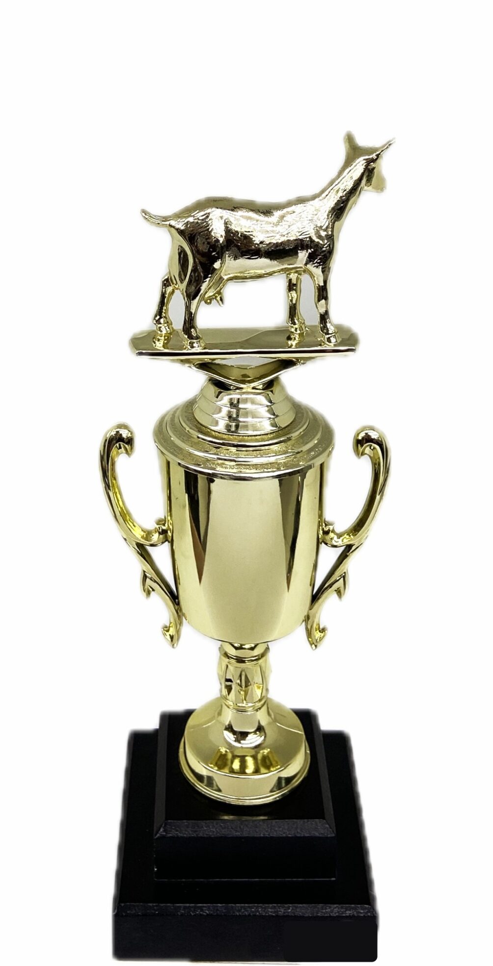 Dairy Goat Trophy 275mm