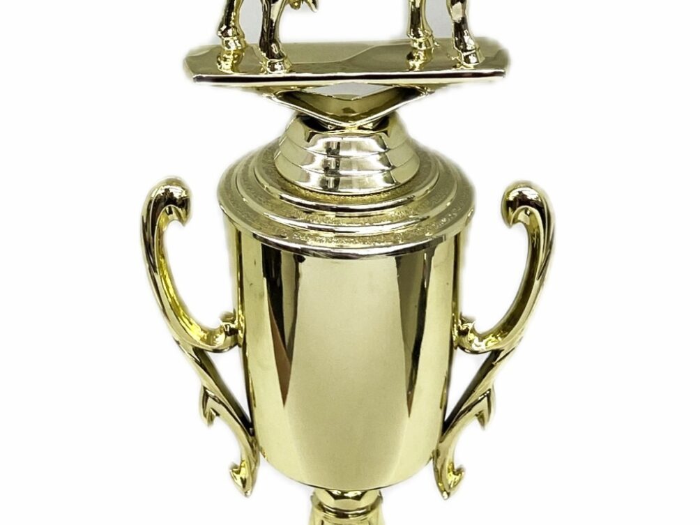 Dairy Goat Trophy 275mm