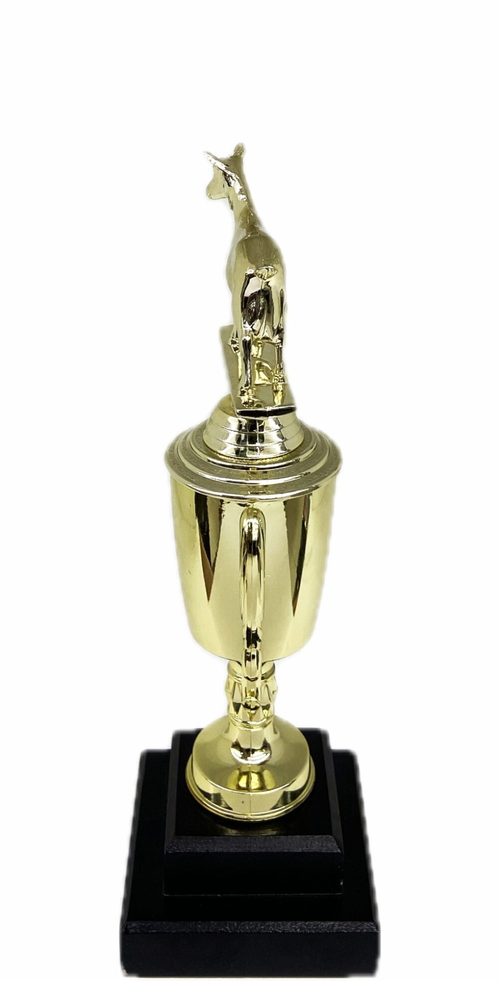 Dairy Goat Trophy 275mm